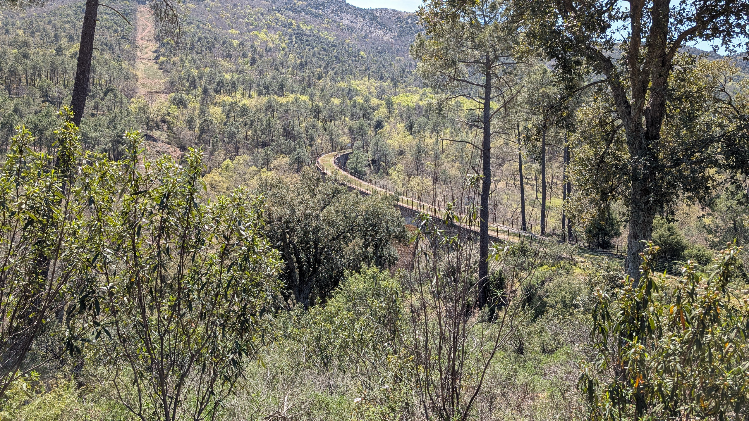 Die Via Verde schlängelt sich durch die bewaldete Sierra Morena